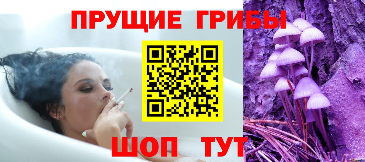 Псилоцибиновые грибы GOLDEN TEACHER Туймазы